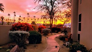 Un jardín con un sendero, diversas plantas y un atardecer de fondo.