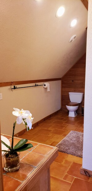 Bañera con ducha, secador de pelo, toallas, papel higiénico