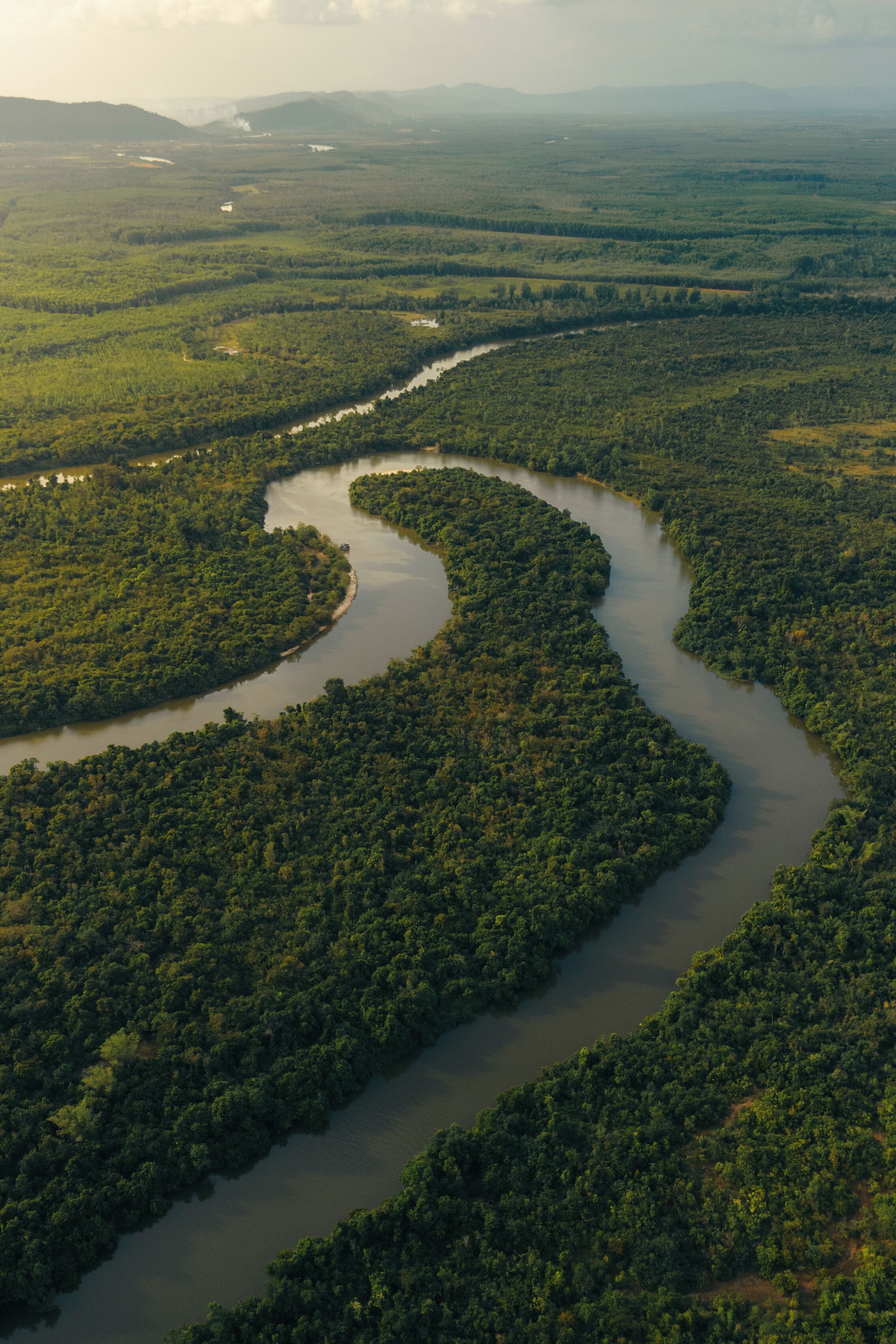 Vista aérea de un río serpenteando a través de un bosque denso.