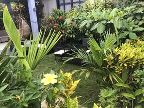Property grounds - Siargao Residency (General Luna)