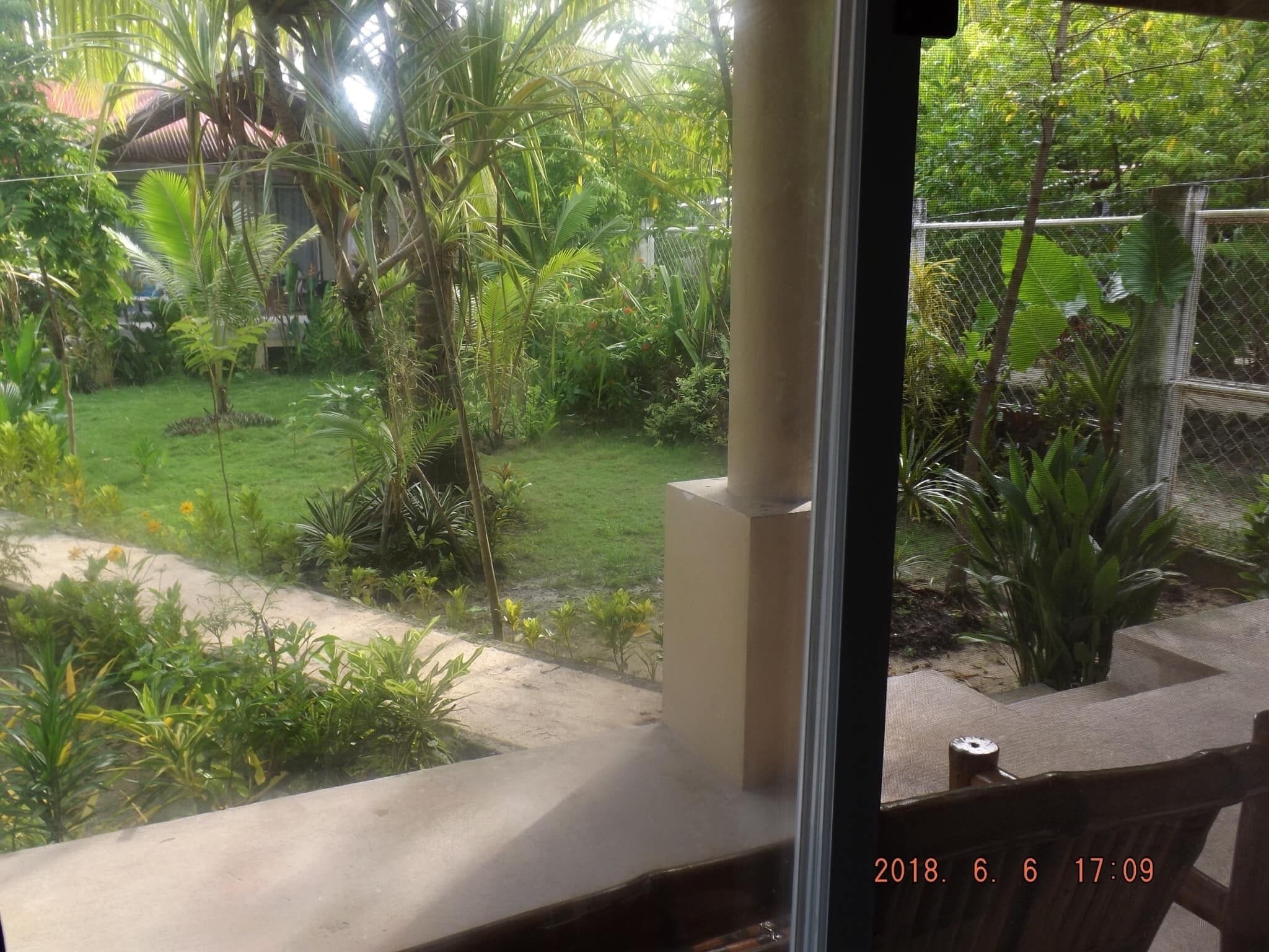 A view from a window overlooking a garden with various plants and a fence.