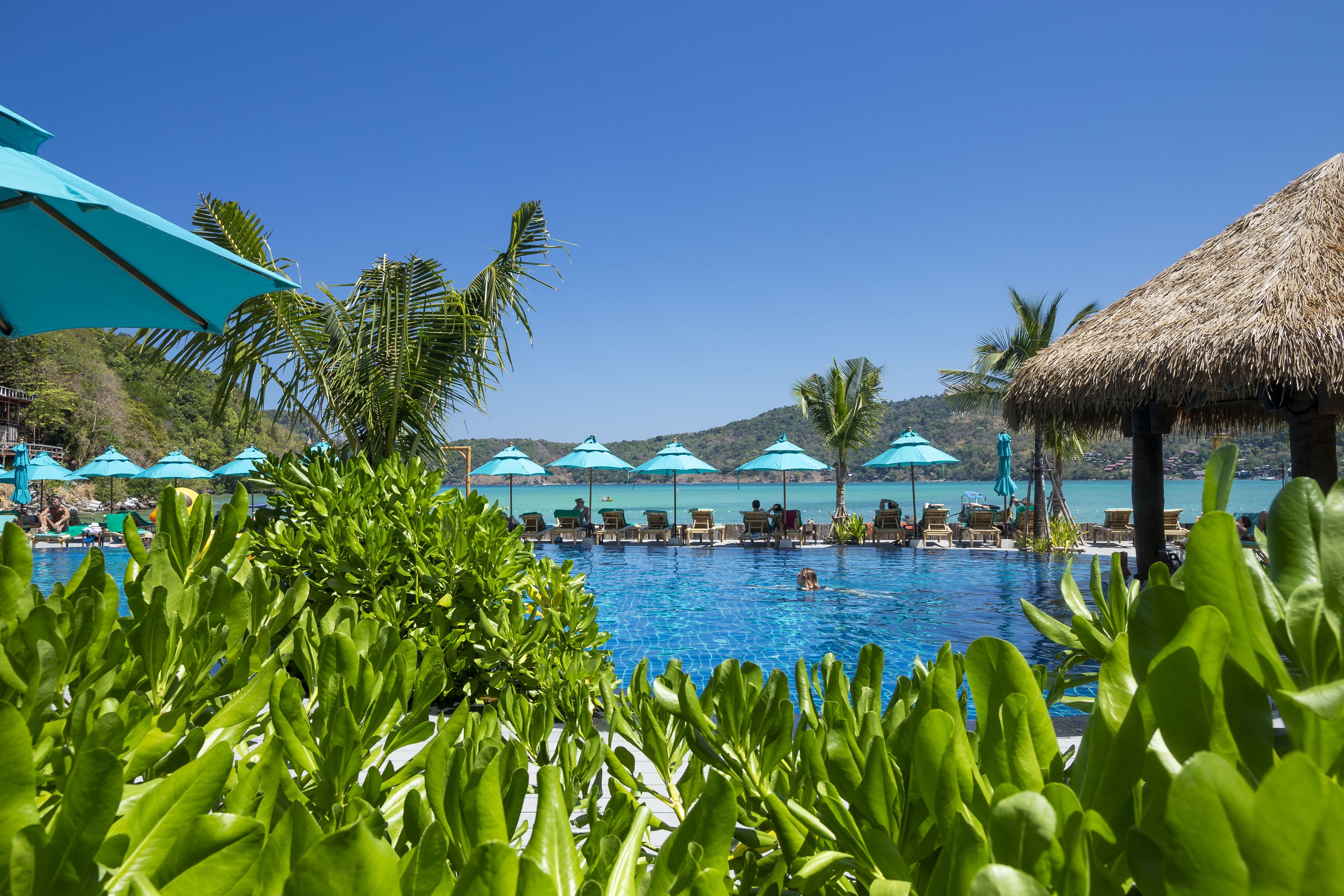 Outdoor pool, free cabanas, pool umbrellas