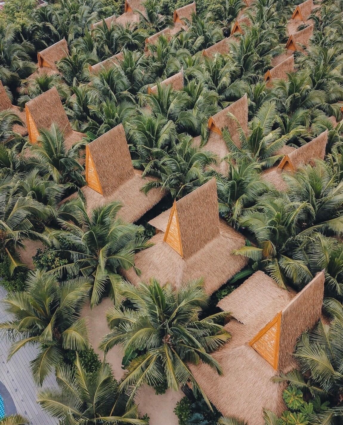 Vue aérienne d’un complexe hôtelier avec des bungalows aux toits de chaume disposés en rangées au milieu d’une végétation luxuriante de palmiers.