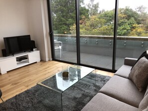 Apartment, 1 Bedroom, Accessible | Living area | Smart TV, DVD player