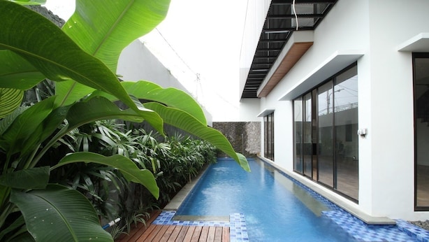 Un edificio moderno con piscina, grandes plantas verdes y una terraza de madera.