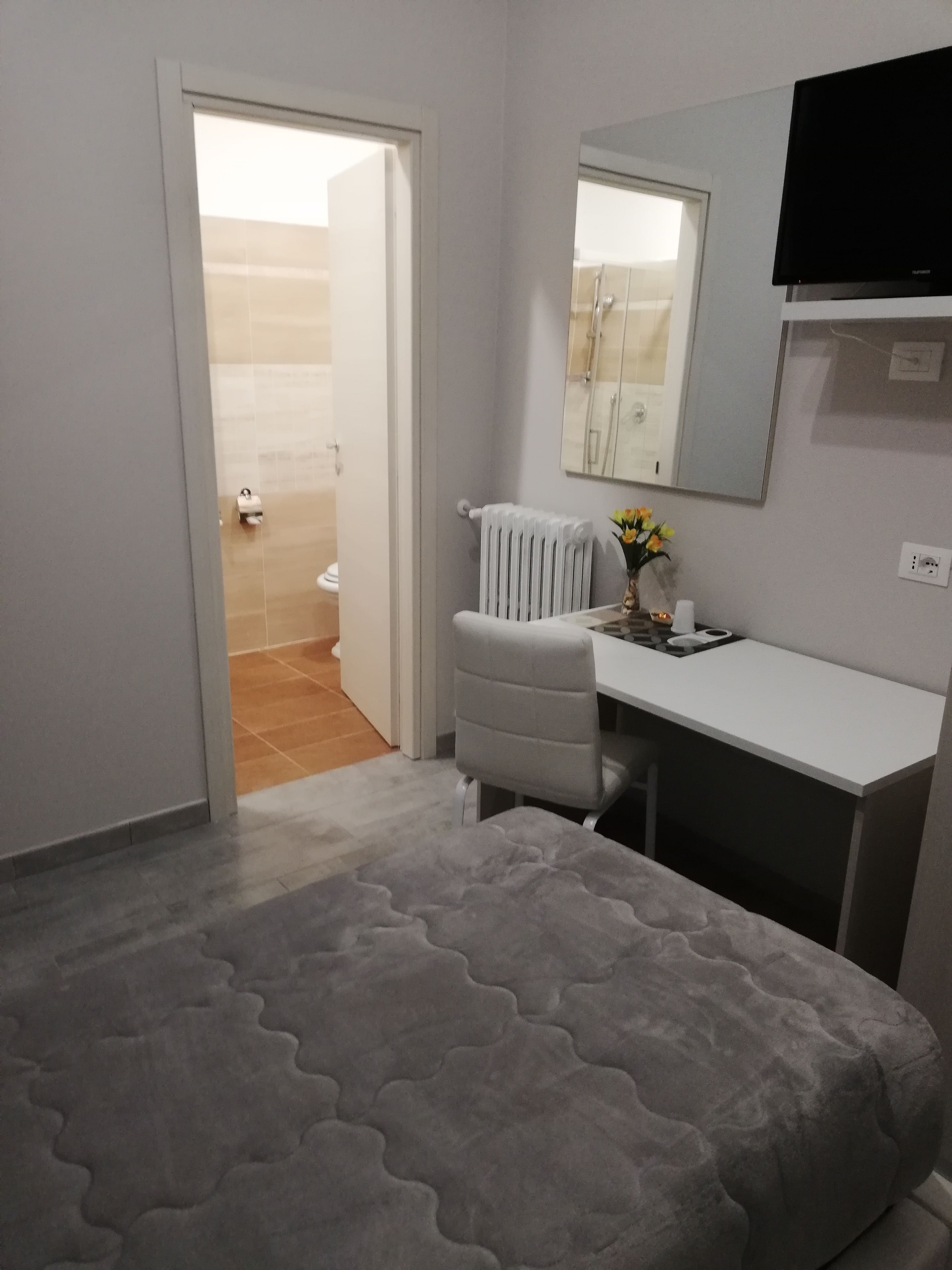 A bedroom with a bed, a desk, a chair, a radiator, a mirror, and a television.