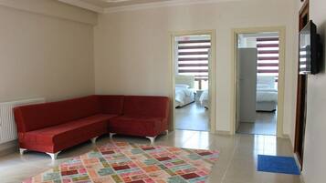 80-inch LCD TV with satellite channels, TV