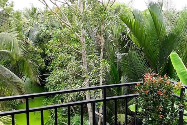 Standard Room, 1 King Bed, Non Smoking | Balcony