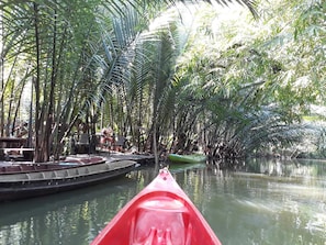 Chèo thuyền kayak