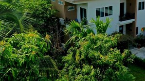 A modern two-story house surrounded by lush greenery. - Baan Klangsuan Bang Korbua (Phra Pradaeng)