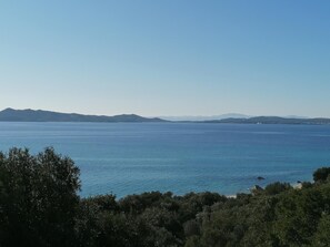 بالقرب من الشاطئ