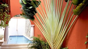 A pool area with a concrete pathway, a palm tree, and a red wall. - Style and luxury in the heart of El Centro (Merida)