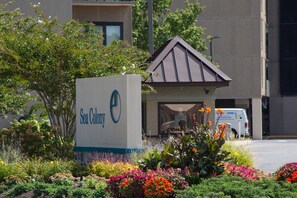 A SeaColony sign with a small building and colorful flowers in front.