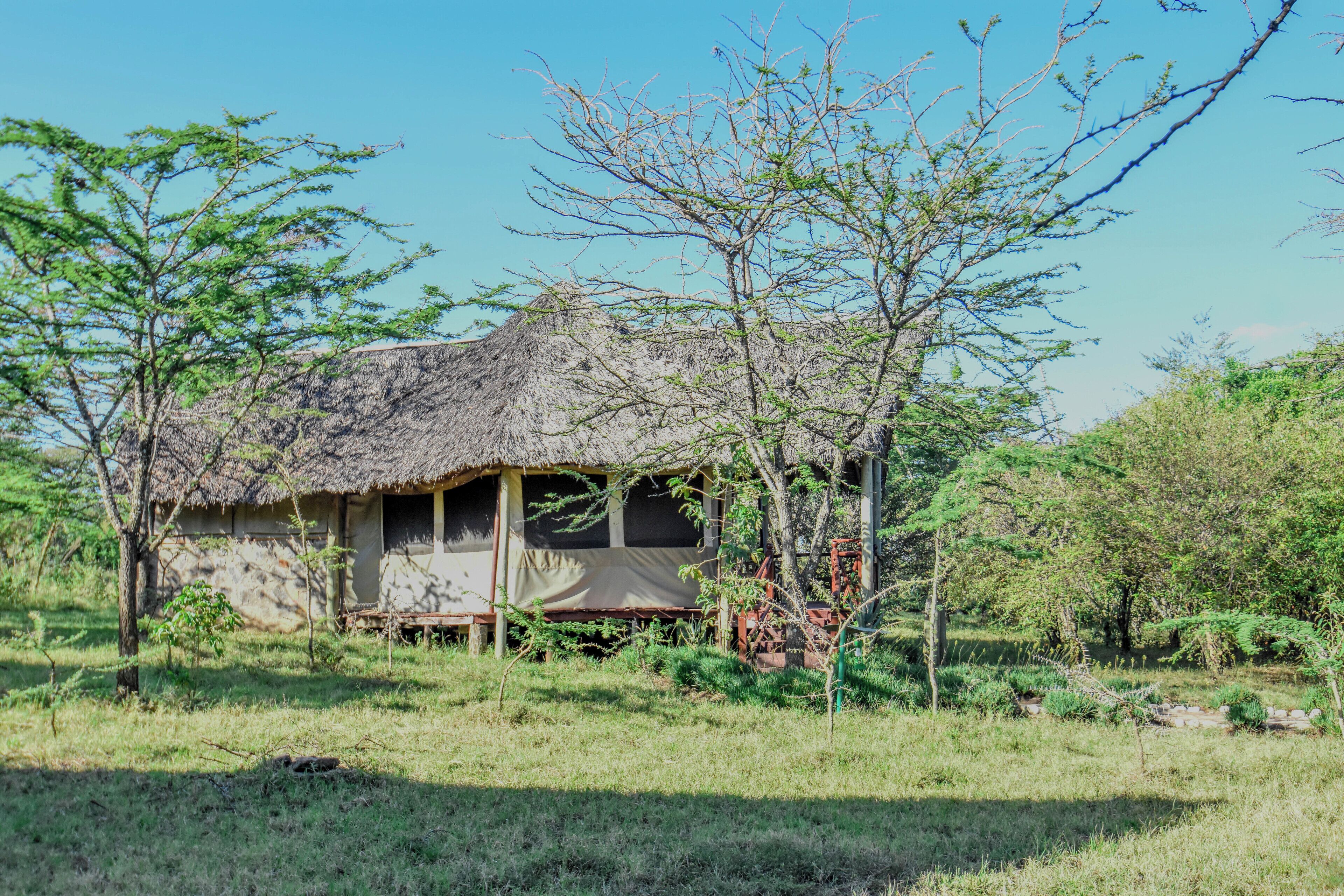 A thatched-roof hut with a simple, open veranda, surrounded by natural vegetation.