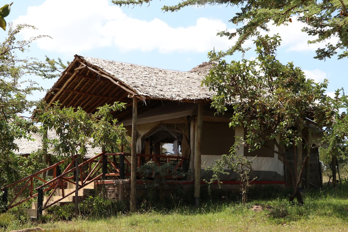 A rustic wooden cabin with a thatched roof, surrounded by trees and a wooden staircase leading to an entrance.