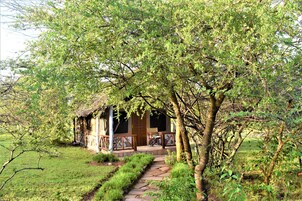 Premium bedding, desk, bed sheets