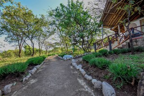 Premium bedding, desk, bed sheets - ELangata Olerai Luxury Camp (Maasai Mara)