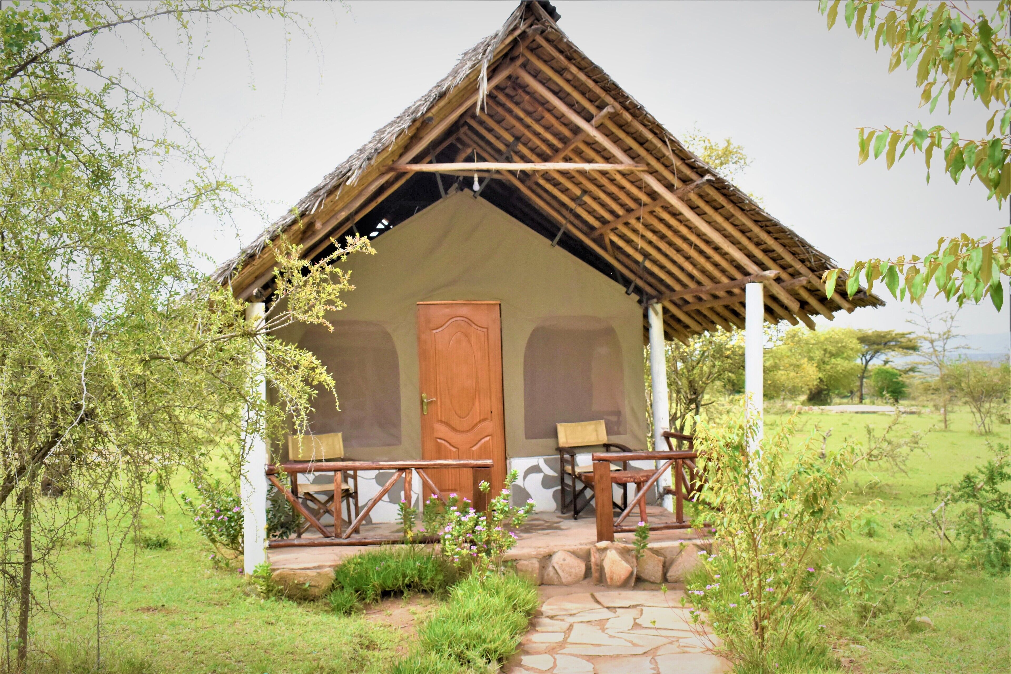 Habitació doble | Roba de llit d'alta qualitat, escriptori i roba de llit 