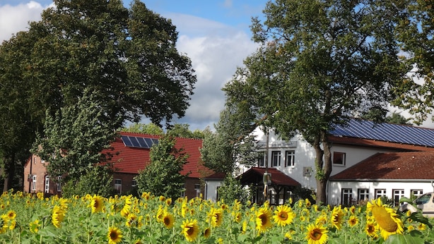 A field of sunflowers in front of a building with a red roof and a sign that reads "Heimathof Pensionhaus". - Gasthaus Wagner (Golzow)