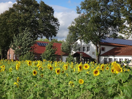 Garden. Gasthaus Wagner