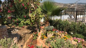 Un jardín con diversas plantas y flores, un muro de piedra y una cerca de metal.