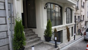 Un edificio con fachada de piedra, una escalera que lleva a una puerta y dos macetas con plantas en los escalones.
