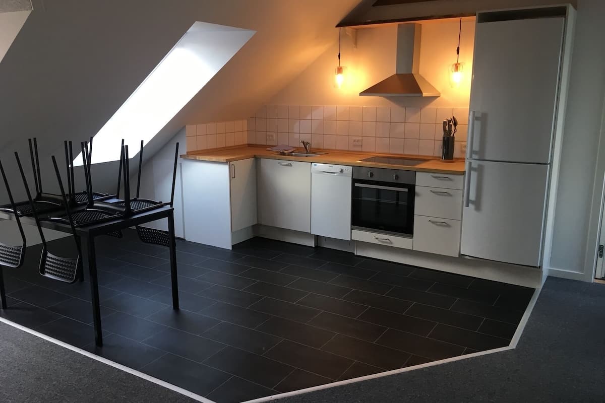 standard apartment (33) | private kitchen | full-sized fridge, microwave, oven, stovetop