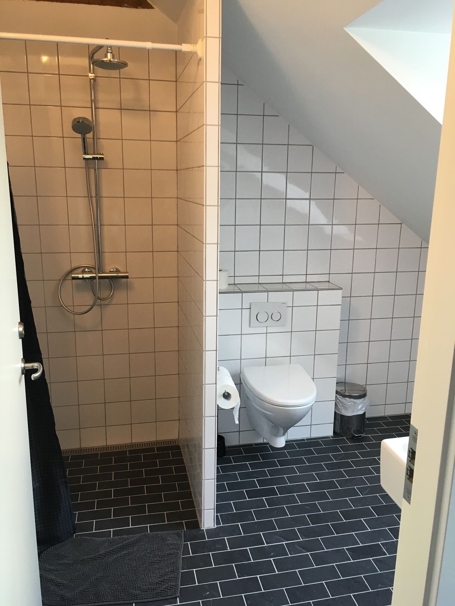 standard apartment (33) | bathroom | shower, free toiletries, towels