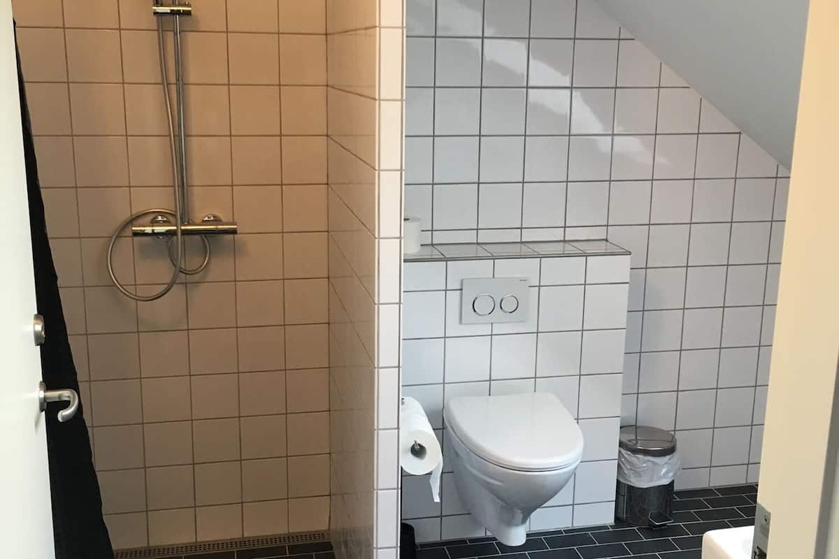 standard apartment (33) | bathroom | shower, free toiletries, towels