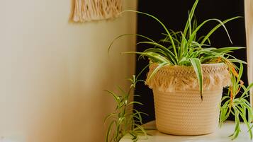 Uma planta em vaso sobre uma pequena mesa num quarto com cores neutras.