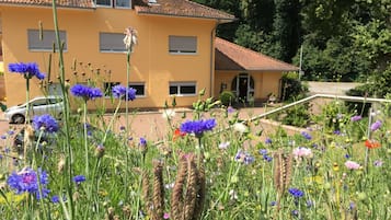 Jardín