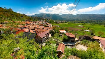 A village with traditional red-tiled roofs, surrounded by lush greenery and mountains in the background.