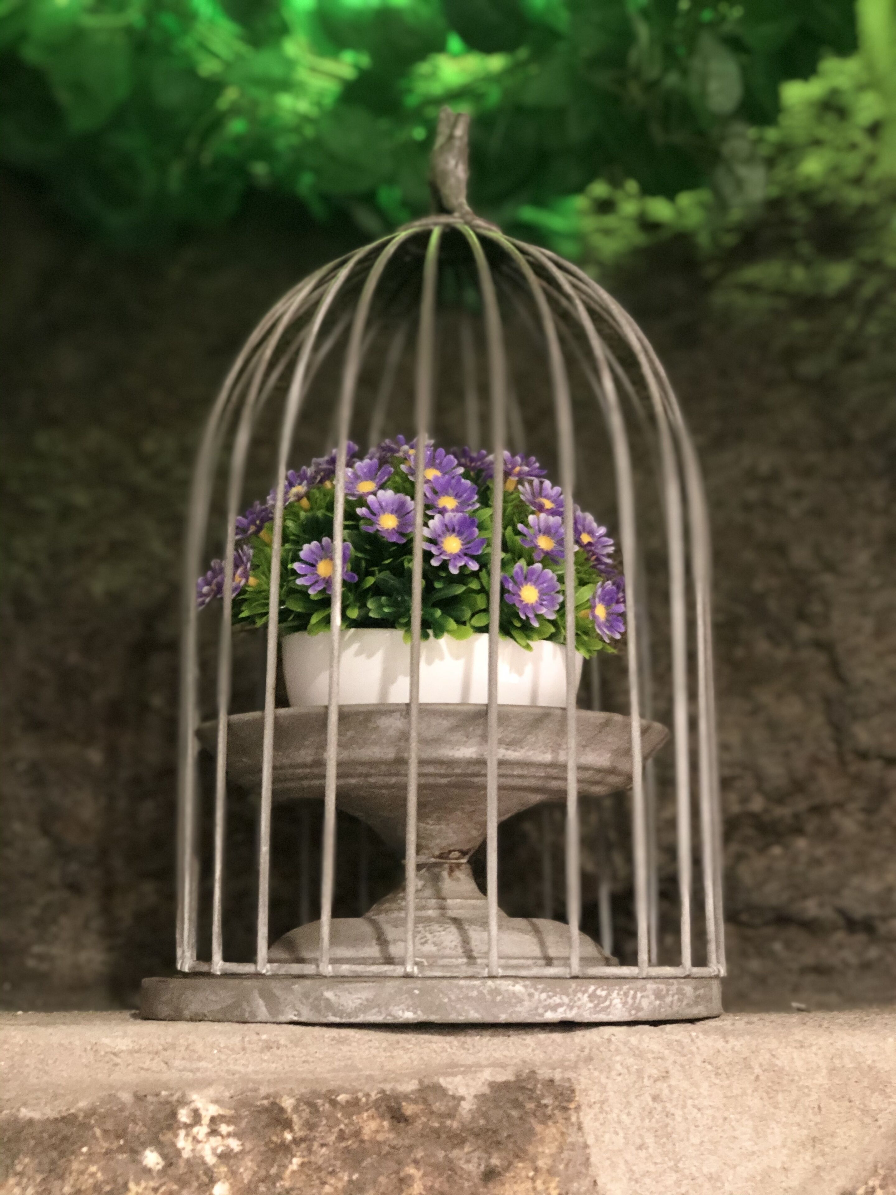 Una jaula de pájaros con una planta en maceta.