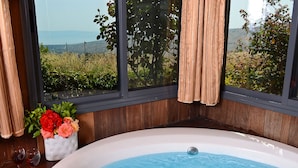 Un jacuzzi con una vista despejada del exterior a través de amplios ventanales.