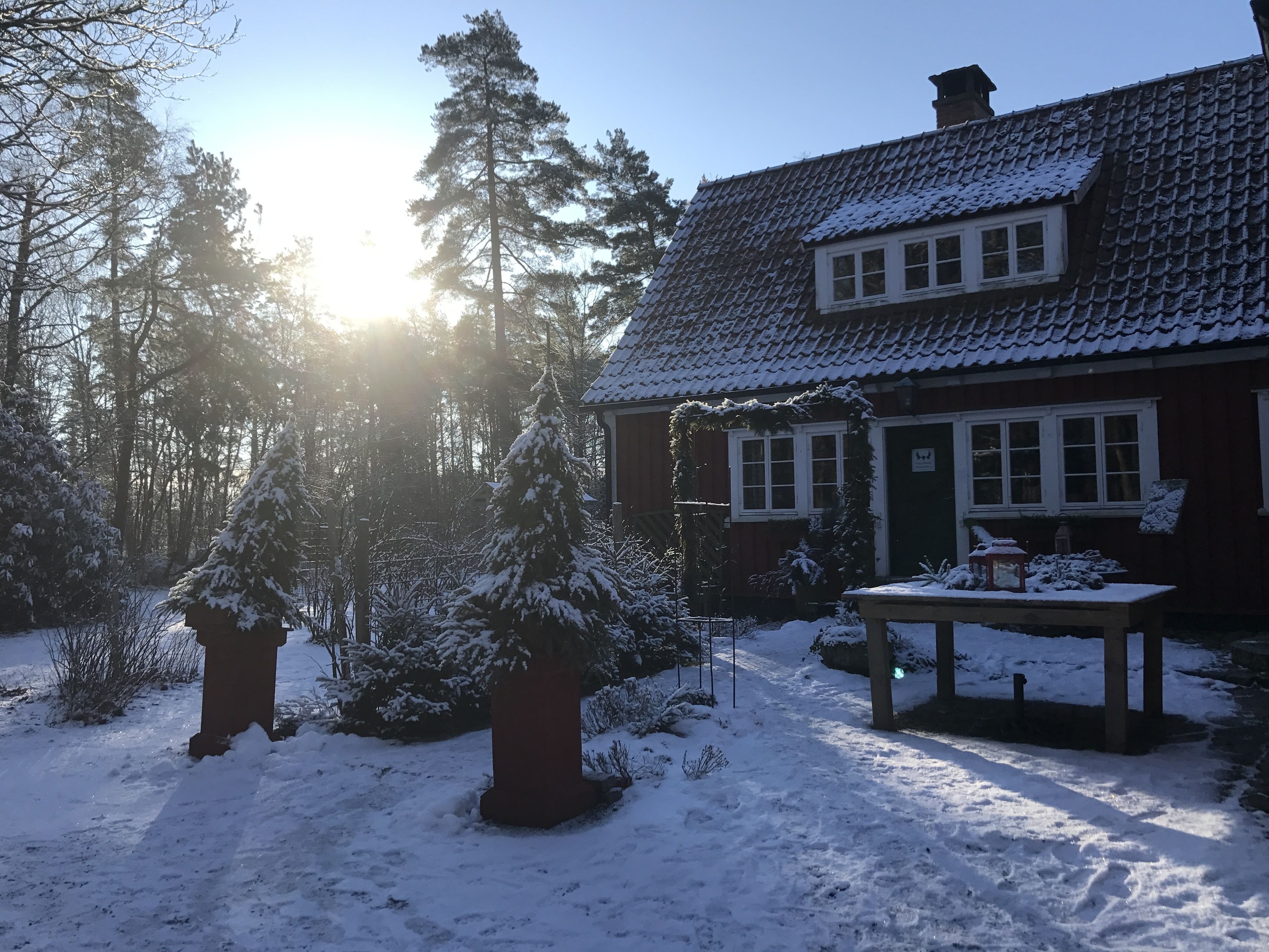Ein mit Schnee bedecktes Haus mit Ziegeldach, umgeben von schneebedeckten Bäumen und wolkenlosem Himmel.