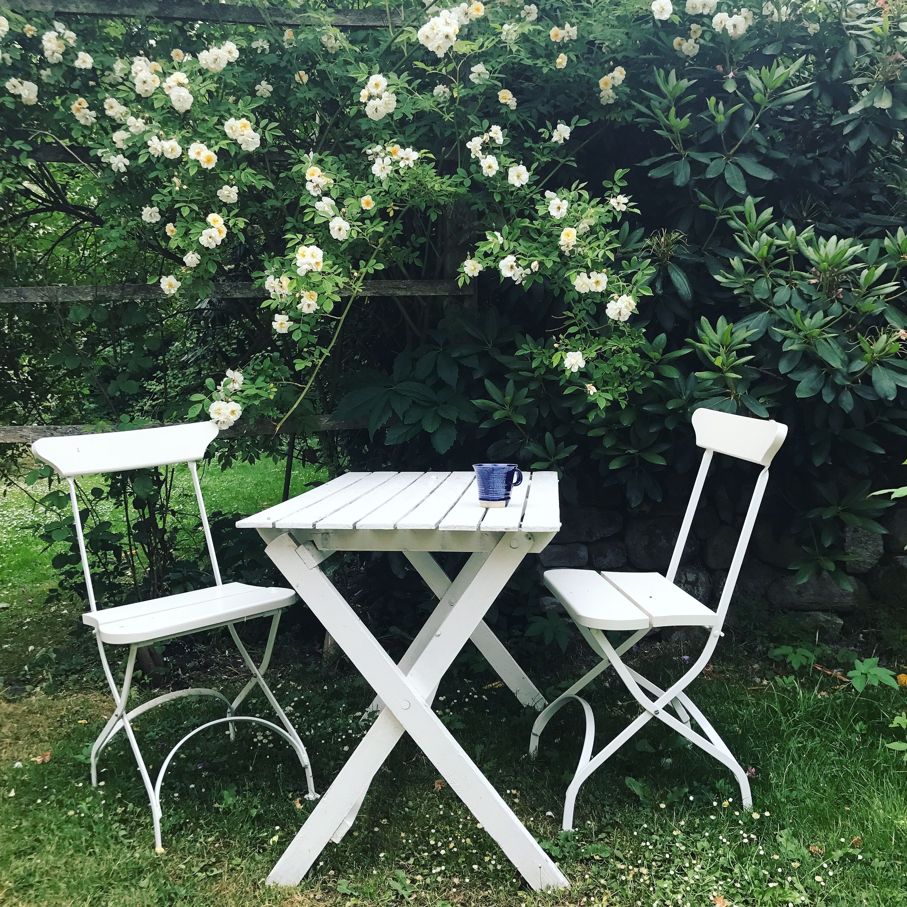 A white wooden table and two white chairs set outdoors with a garden backdrop.