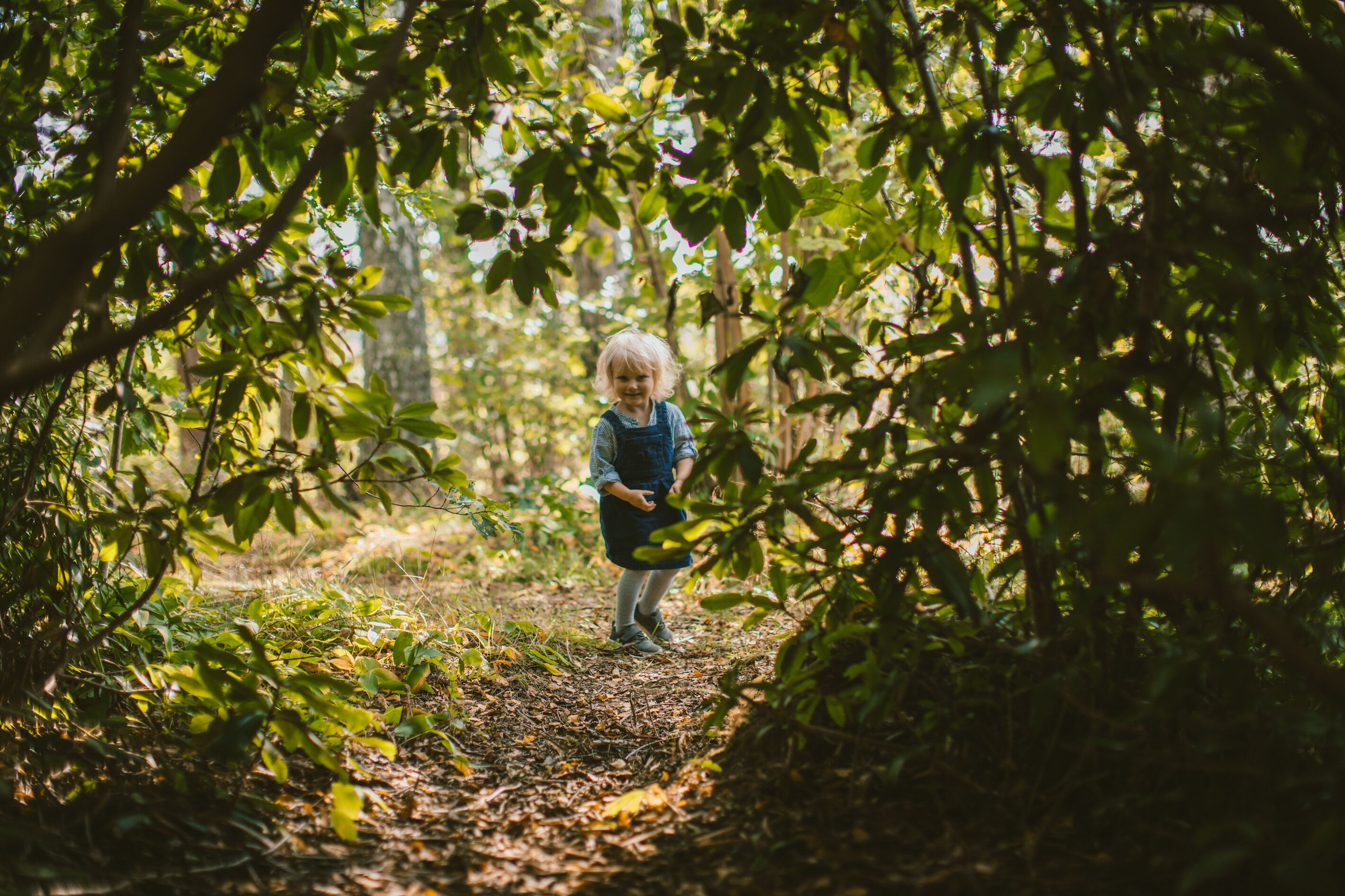 A child standing in a forested area with dense foliage and a path.