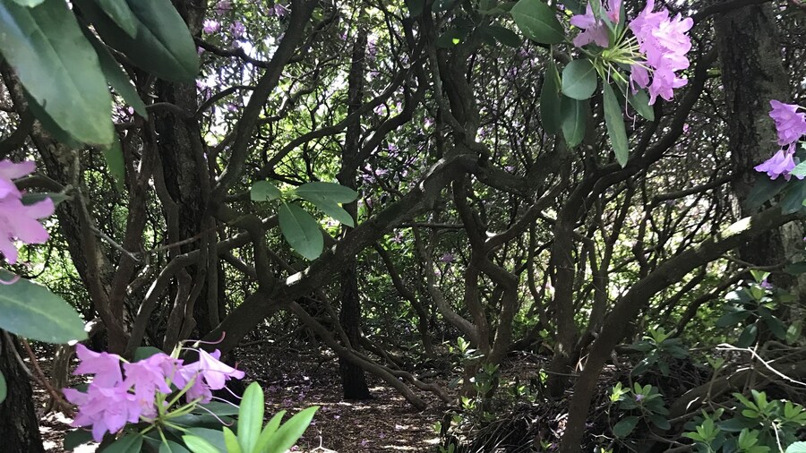 Vallåsens Värdshus - Hostel