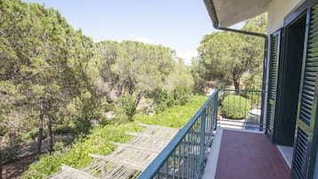 Apartment, 2 Bedrooms (no.3) | Balcony view