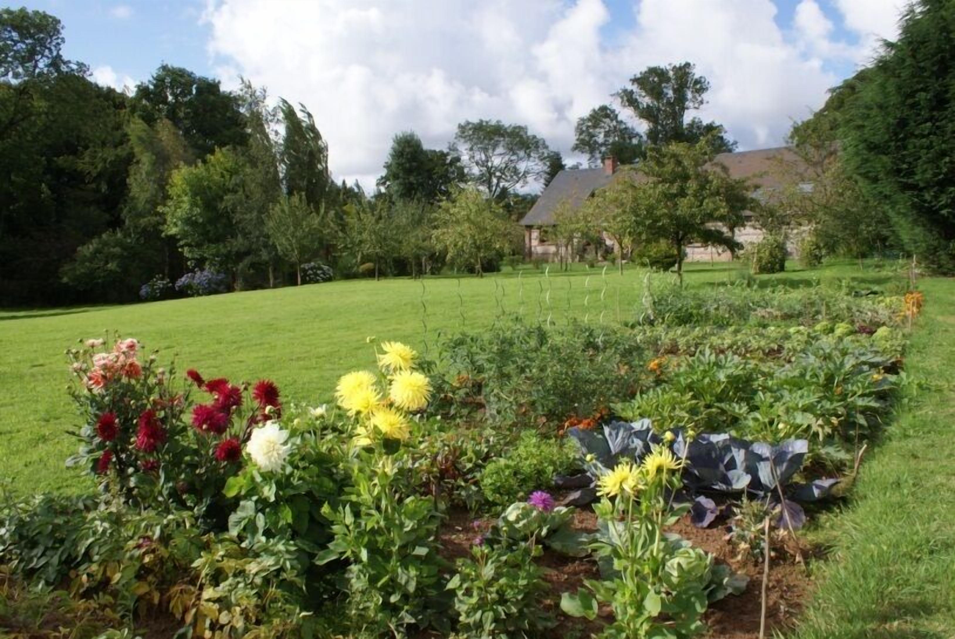 Ein Garten mit verschiedenen Pflanzen und Blumen, eine Rasenfläche und ein Gebäude im Hintergrund.