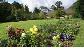 Ein Garten mit verschiedenen Pflanzen und Blumen, eine Rasenfläche und ein Gebäude im Hintergrund.