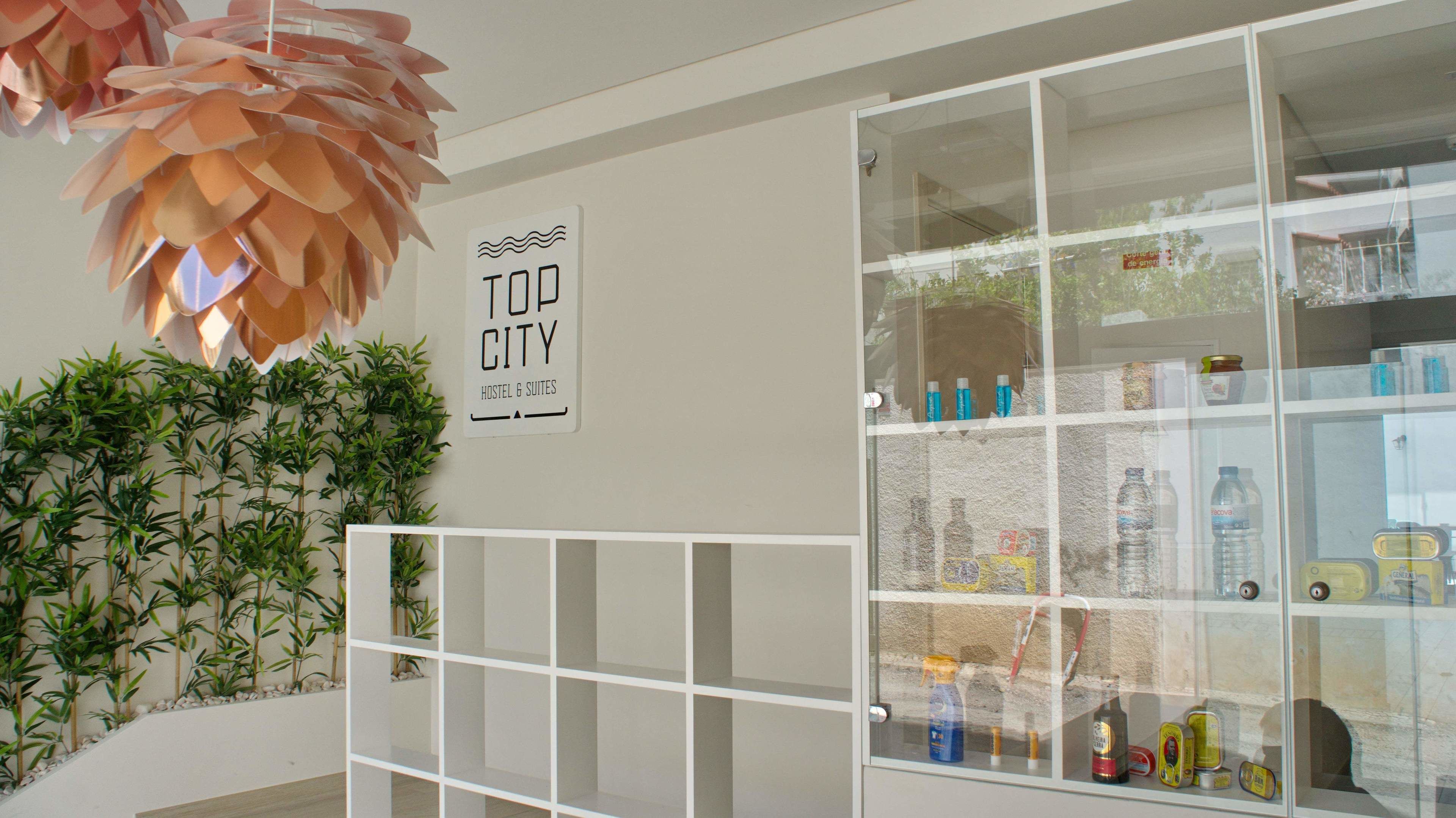 A modern interior with a sign reading "TOO CITY HOSTEL & SUITES," a glass display case with various items, and a decorative hanging plant.