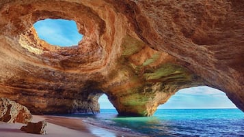 Ecotours