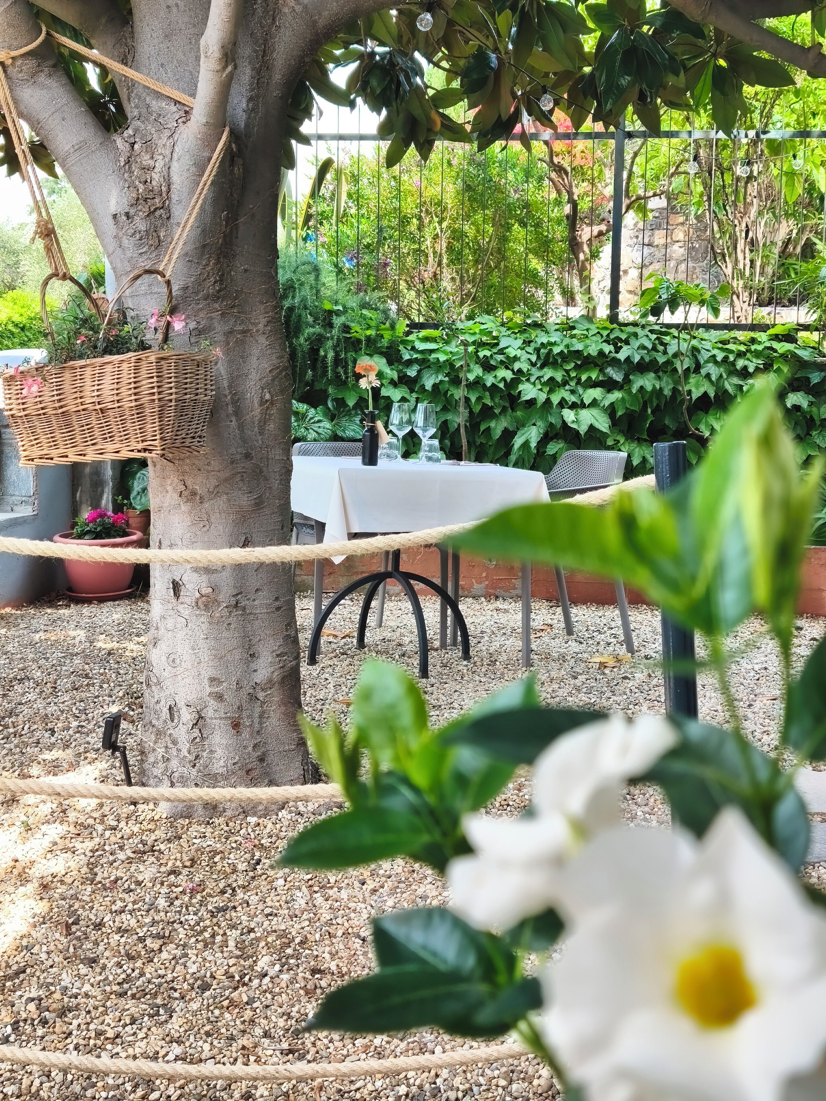 A garden setting with a table and chairs, a hanging basket with flowers, and a tree trunk.