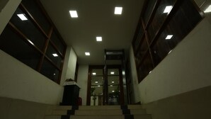 A staircase leading to a door with glass panels and a small plant on the landing.