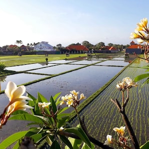 Executive Villa, 2 Bedrooms, Mountain View | Balcony view - The 88 Bali Private Villas (Kerobokan)