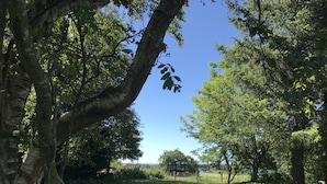 A picnic table in a grassy area surrounded by trees. - Mauldslie Hill Cottage (Gorebridge)