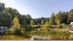 A serene garden with a pond, surrounded by lush trees and a small bridge. - Essensio Hotel Düsseldorf (Erkrath)
