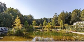 Standard-Studio, 1 King-Bett | Blick auf den Garten