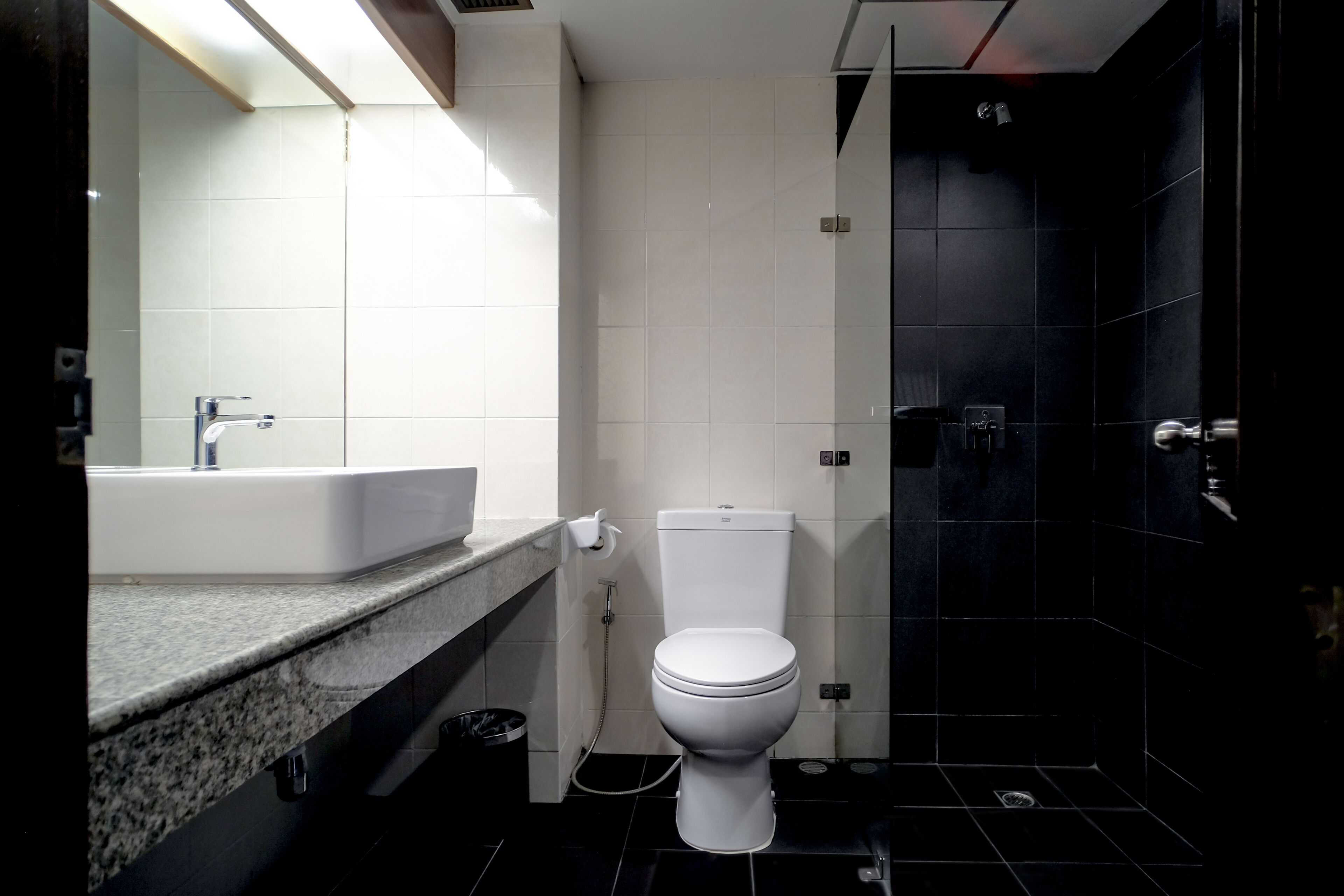 shower, rainfall showerhead, free toiletries, hair dryer